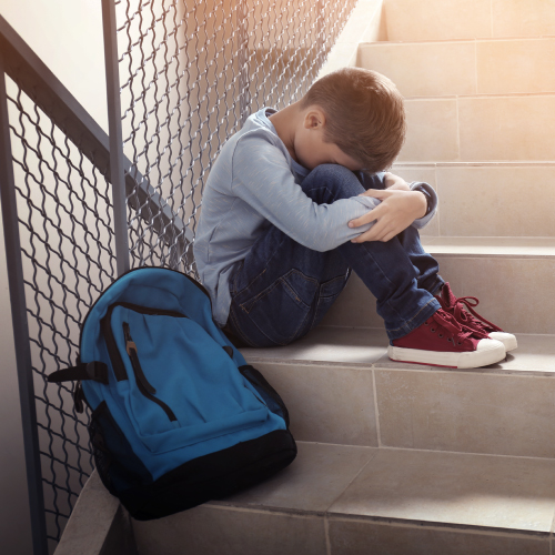 ソーシャルビジネス・社会課題解決事業｜株式会社アイシャス